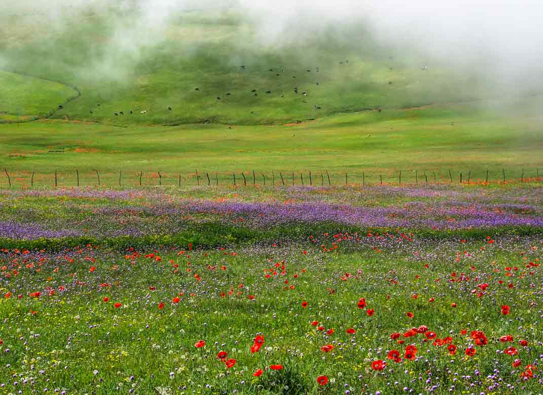 Why should IRAN be on your TRAVEL BUCKET LIST OF 2018?
