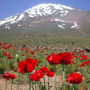 Let's climb up to highest summit of Western Asia, Damavand