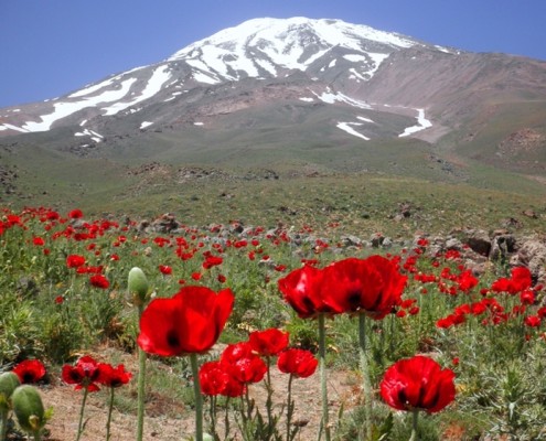 Let's climb up to highest summit of Western Asia, Damavand