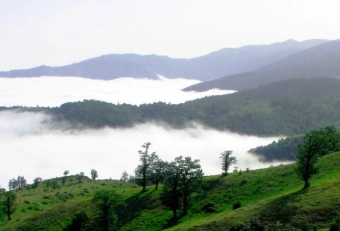Why Visit Iran