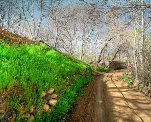 Spring Destinations for your Iran Tour 2016