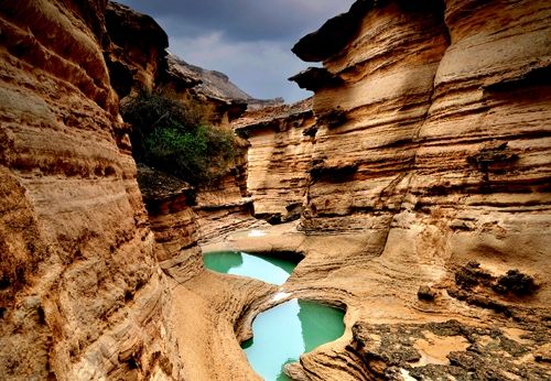 Qeshm Geopark Advisor Is Selected As UNESCO Geoparks Council