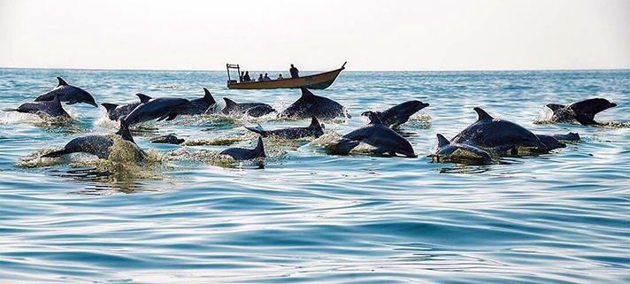 Hengam Island-Iran