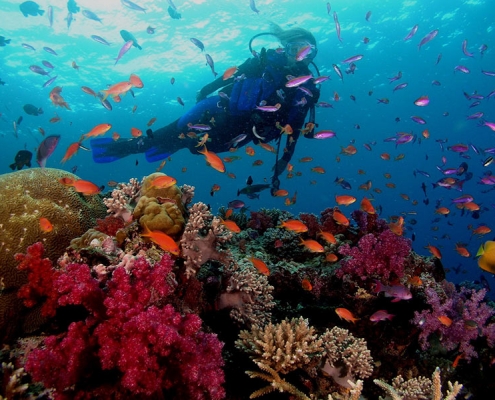 Kish Diving Center