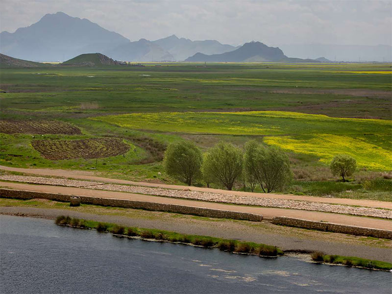hashilan-wetland- Kermanshah