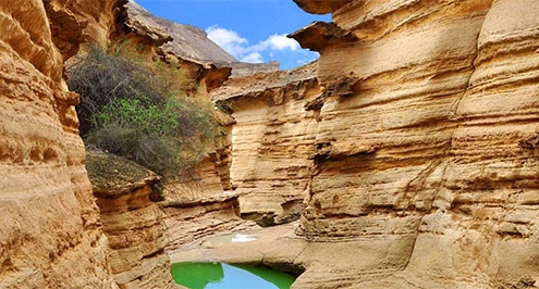 Qeshm Island