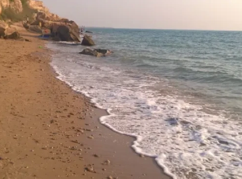 things to do in Bushehr
