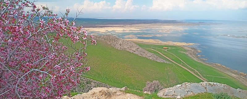 aydar lake