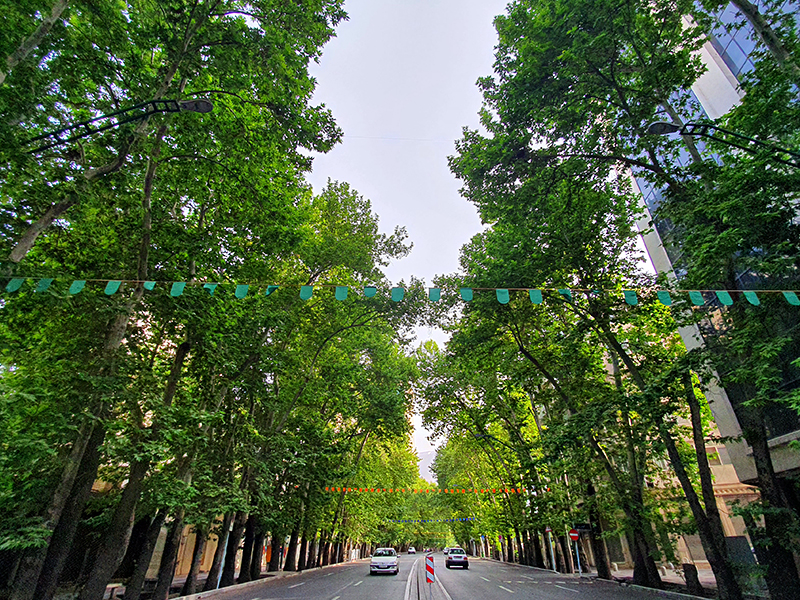Valiasr street trees