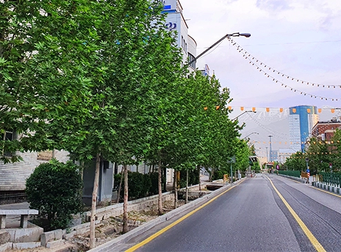 Valiasr