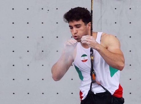 Reza Alipour