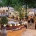 Top 10 Restaurants in Tehran